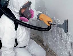 Mold Remediation for Vacation Homes in Cedartown, GA